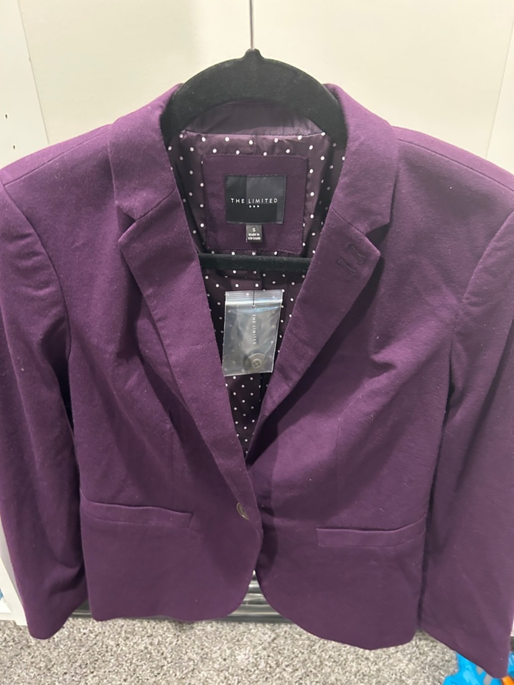 The Limited Plum Notch-Lapel Blazer